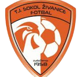 https://img.xidg.com/img/football/team/5477d301041e00b2de35d5eeea2fabb4.png