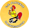 https://img.xidg.com/img/football/team/63b0933cc303927659846a4ed54b1522.png